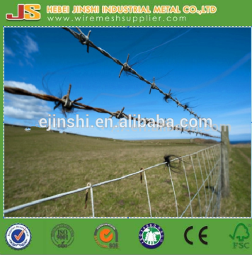 BWG14 Galvanized Barbed iron Wire