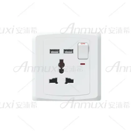 220V USB Wall Socket
