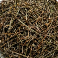 10: 1 Hedyotis Diffusa Extract Hedyotis Diffusa Willd Extract