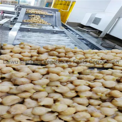 Pickled Salted Sweet Garlic