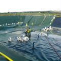 Liner plástico impermeabilizante geomembrana aquicultura camarão