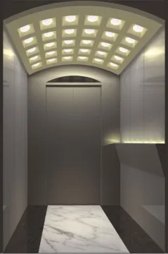 Home Elevator For 2-5 Person Residential Elevator Home Lift Price