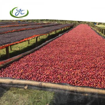 Shade Cloth For Coffee Beans Drying Bed