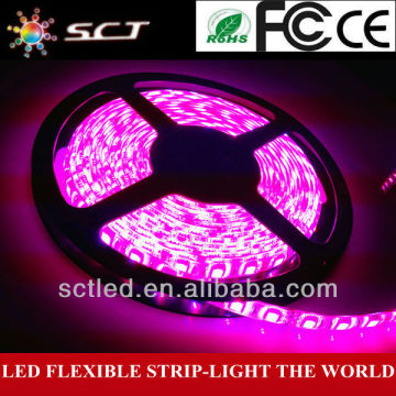 Popular 5M/Roll 72W 5050 LED Strip