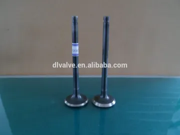 engine valve with high quality for car WLO1-12-111 WLO1-12-121A