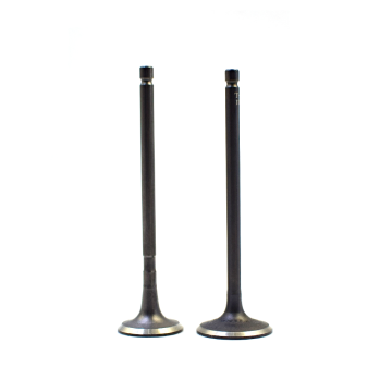 V2203 Intake Valve and Exhaust Valve - Engine Parts