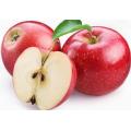 Apple Bark Extract Phloridzin Powder Skin Whitening Material