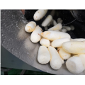 Productivité élevée classe alimentaire petite machine d'épluchage de manioc