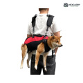 Mochila porta perros para ciclismo