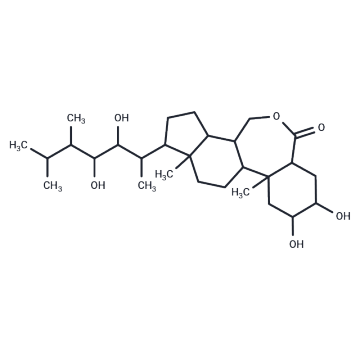Brassinolide powder supply CNCSBIO