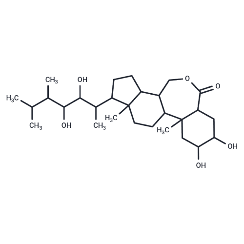 Brassinolide powder supply CNCSBIO