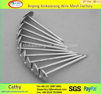 Galvanized umbrella head roofing nails in fasteners