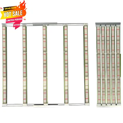 Indoor Hydroponics Growing System