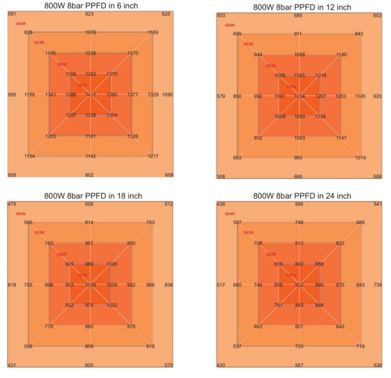 800w ppfd