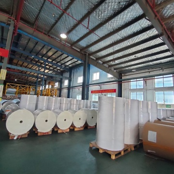 Offset thermal Bopp adhesive large roll paper