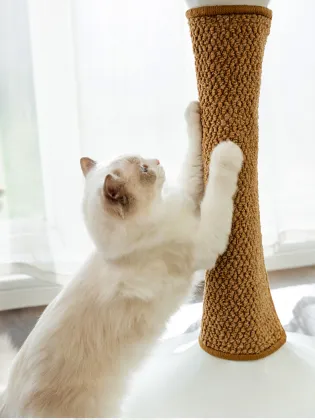 MOFESIPI Wholesale Sisal Cat Scratch Board