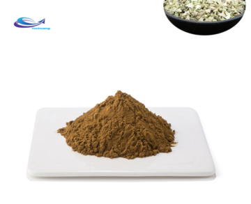 Wholesale Good Price Garlic Extract Powder