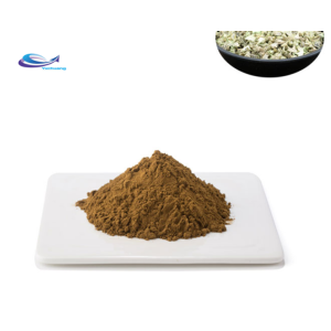 Wholesale Good Price Garlic Extract Powder