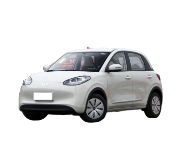 2023 Wuling Binguo Electric Vehicle - Lightenjoy Version with 203km/303km Range