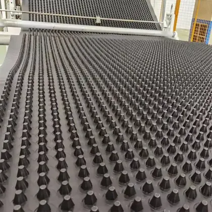 1000g HDPE Geomembrane Drainage Board for Efficient Drainage Systems