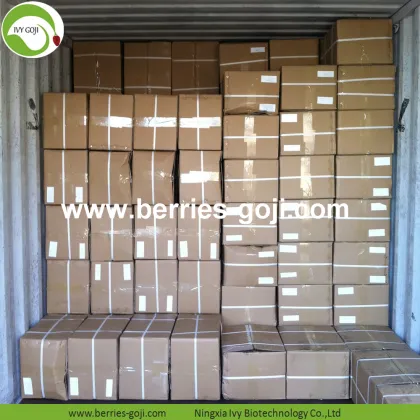 Factory Nutrition Dried Raw Organic Wolfberries