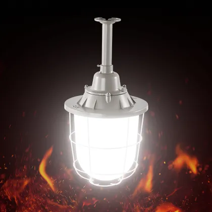Professional High-Quality LED Explosion-Proof Lighting: 50W and 100W Explosion-Proof Lights