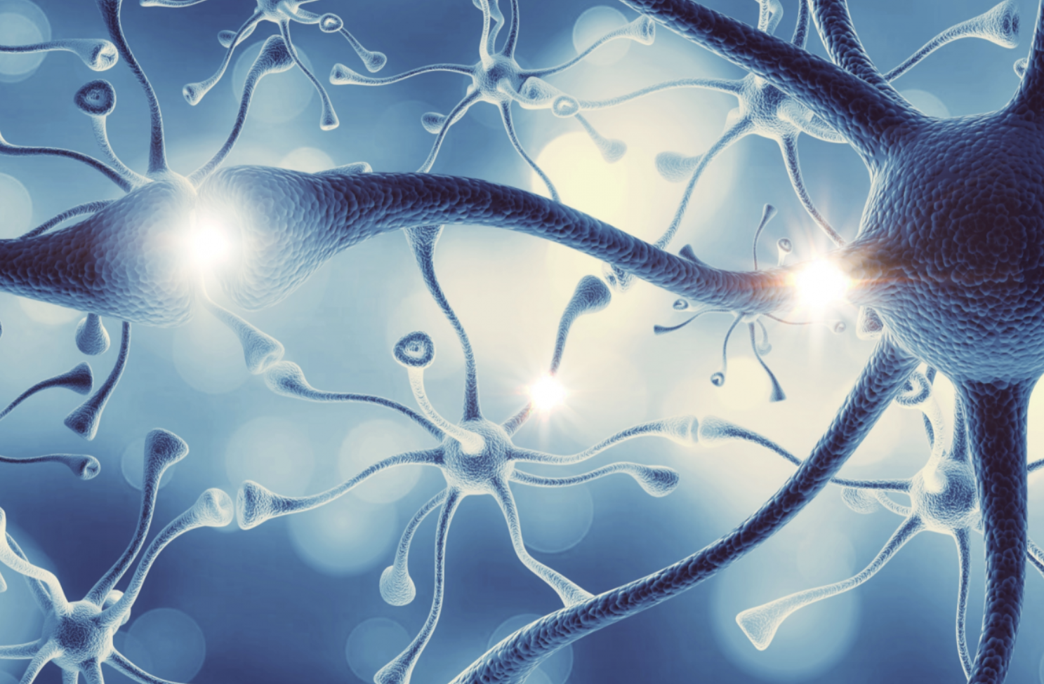 Nervonic Acid for Dietary Supplements