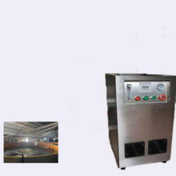 Ozone Generator and 96% Dual Flow Oxygen Concentrator - Psa Zeolite 5L Ozone Machine 10L USA