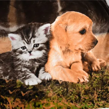 Digital printing sherpa  thick  fleece blanket sublimation PET blanket My family winter blankets queen size