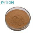 Shiitake Mushroom Powder, Lentinus Edoder Powder