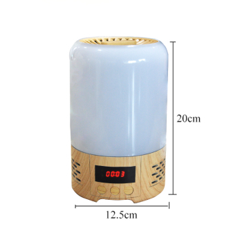 Negative Ions Air Purifier With Timer 5-in-1 Multifunction