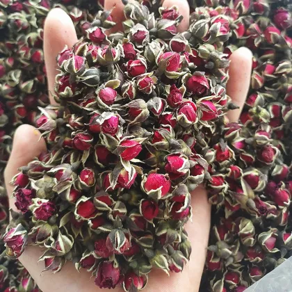Wholesale Dried Rose Buds Tea - 100% Natural Herbal Golden Edge Rose Flower Tea