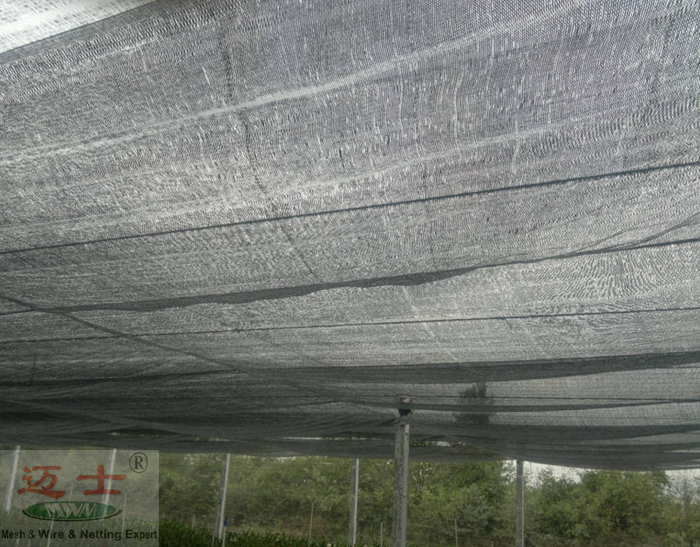 shade net