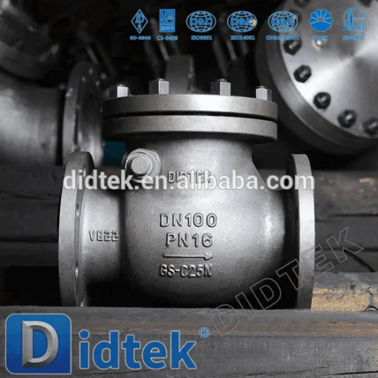 Didtek GS-C25 DIN Swing Check Valve