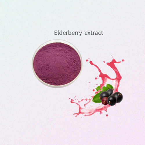 Anthocyanin Black Elderberry Extract /Elderberry Fruit Extract Powder Factory