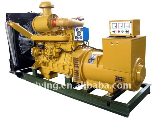 water-cooled diesel generator set with shanghai engine