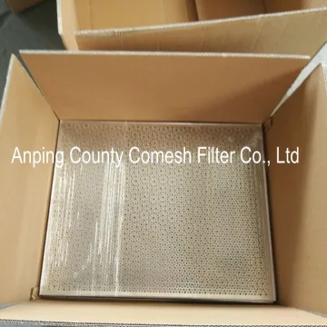 Stainless Steel Food Grade Perforated Baking Tray