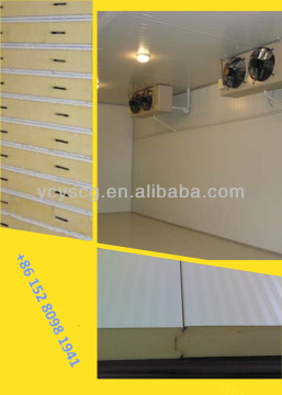 Asia manufacture Cold room PU sandwich panel