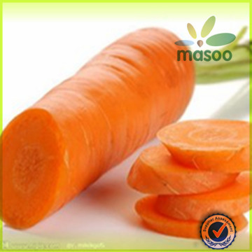 Chinese Fresh Carrot,Fresh Vegetables,Good Quality                        
                                                Quality Choice