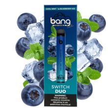 Duo Bang Switch Vape descartável 2500 Puffs 1100mAh