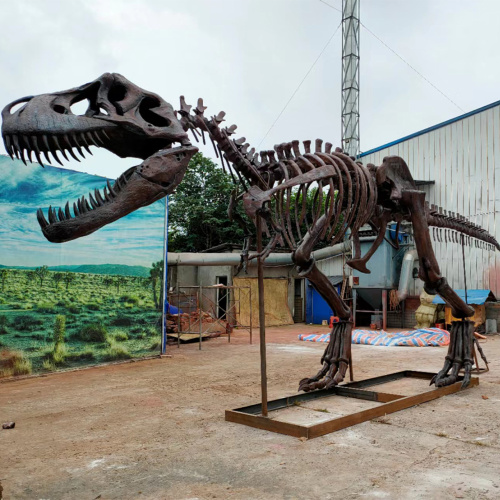 Life Zize T Rex Skeleton Replica