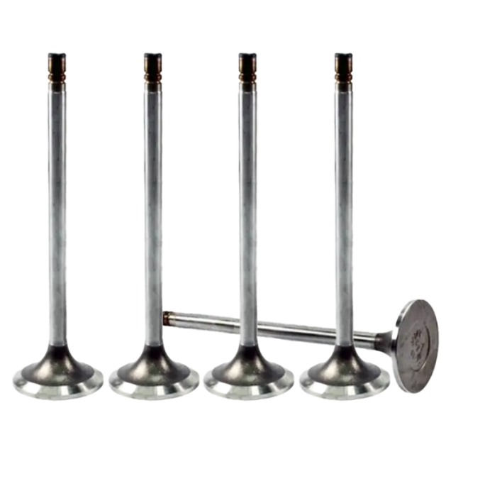 Engine Intake and Exhaust Valve 030512121