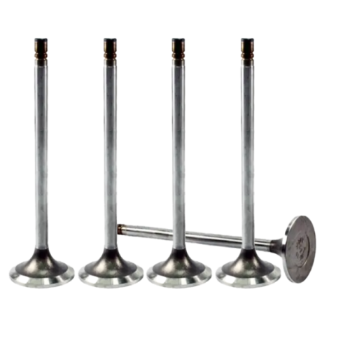 Exhaust Valve Compatible with Mitsubishi S6R Engine