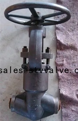 Weld bonnet 2500LB Gate Valve,DN 20