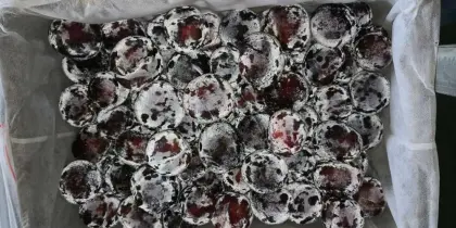 fresh plums chinese plum black president plum