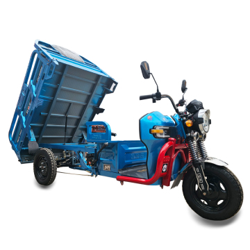 Electric Hot Selling Tipper Cargo Tricycle for Farm Handling