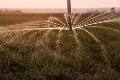 agricultural irrigation projects