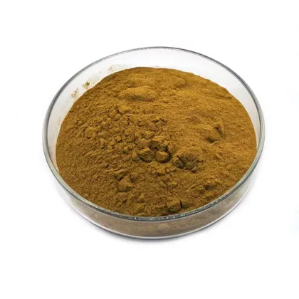 Wholesale Jujube Extract Powder