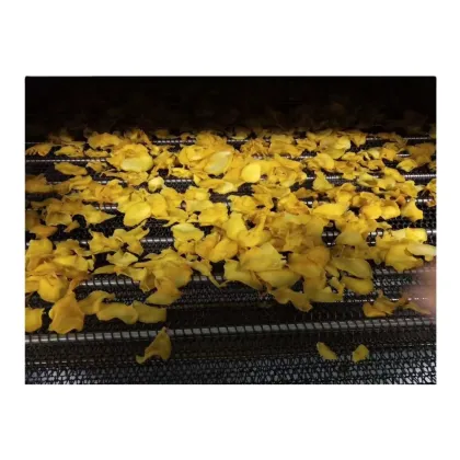 Fruit Dryer Machine for Efficient Fruit Processing Lines