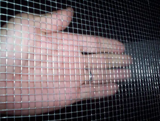 Electro galvanized welded iron wire mesh